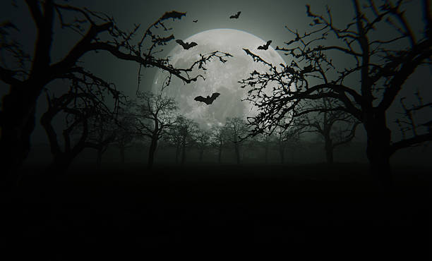 istock Dark spooky forest with bare trees under a full moon, bats flying across the night sky, creating a mysterious and eerie Halloween atmosphere. Happy Halloween, concept. Scary night landscape wallpaper 2241332029