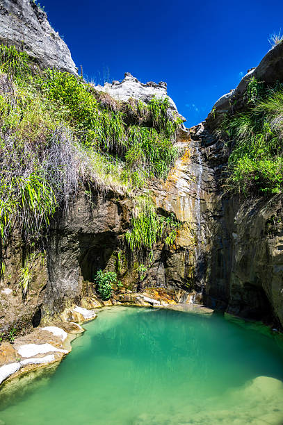 istock Green Pool in Colombia 2241335615
