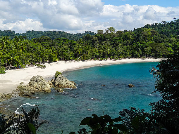 istock Tropical Beach at Manuel Antonio National Park 2241336902