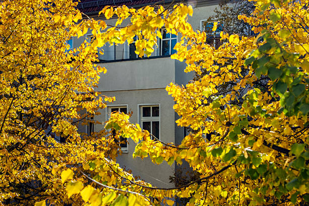 Autumn in a Berlin district