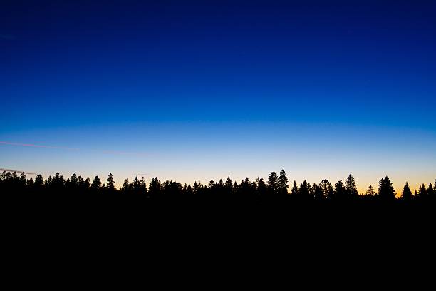 A striking silhouette of a dense forest contrasts with a vibrant gradient sky, shifting from deep blue to soft light at the horizon, perfect for nature-themed backgrounds.