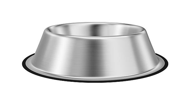 istock Stainless steel dog bowl isolated on white. 2241339798
