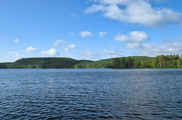 istock Swedish lake with forest reflection under blue sky on a sunny day 2241339933