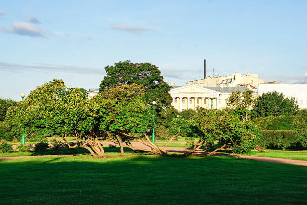 istock a serene park scene in Saint Petersburg 2241342203