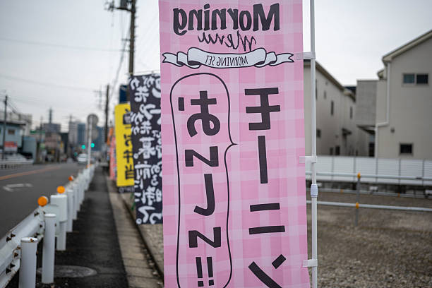 istock A cute pink banner flag photographed from the back 2241346760