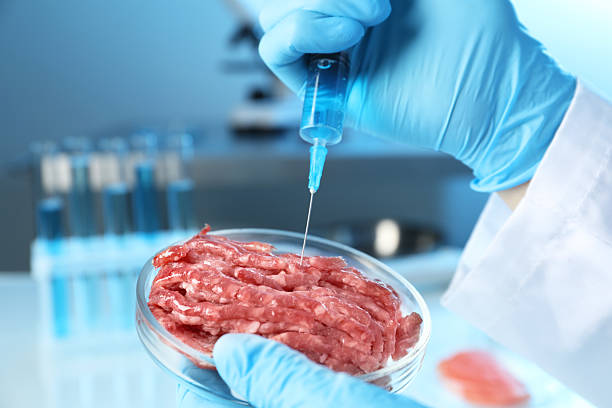 istock GMO concept. Scientist injecting something into minced meat in laboratory, closeup. 2241349608