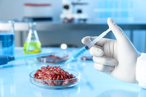 istock GMO concept. Scientist injecting something into minced meat at table in laboratory, closeup 2241349631