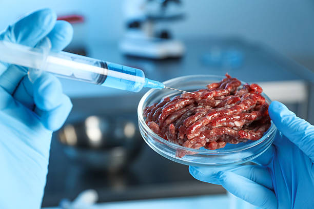 istock GMO concept. Scientist injecting something into minced meat in laboratory, closeup 2241349721