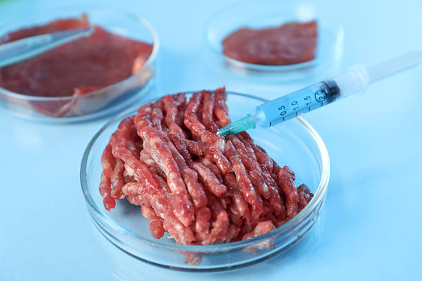 istock GMO concept. Minced meat and syringe on table in laboratory, closeup 2241349725