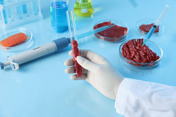 istock GMO concept. Scientist with meat in test tube at table, closeup 2241349749