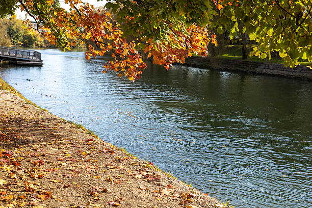 Autumnal leaves and colours by the Ljubljanica river in Ljubljana, Slovenia.