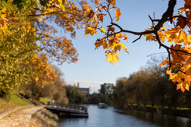 istock Autumn leaves and colours by the river 2241350832