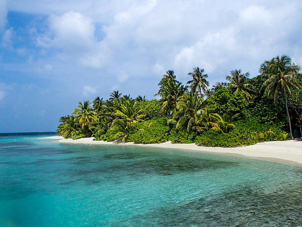 istock Turquoise Lagoon and Palm Trees 2241352374