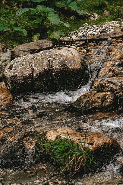 River Flowing Through Rocky Mountain Valley