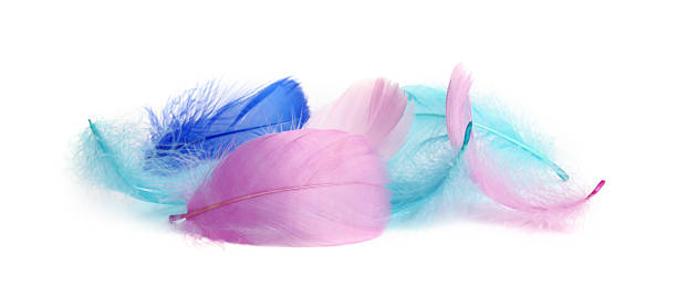 istock Pile of fluffy light feathers isolated on white 2241356133