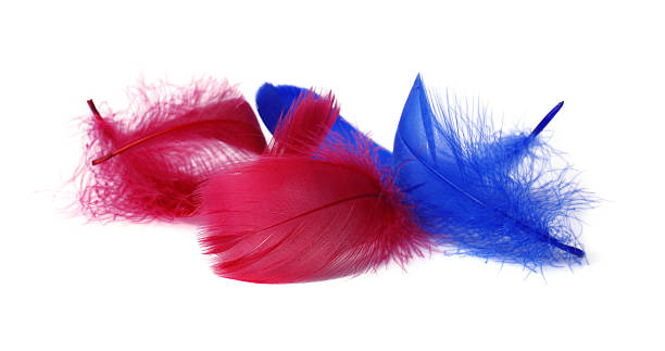 Pile of fluffy light feathers isolated on white