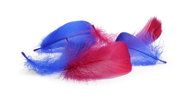 istock Pile of fluffy light feathers isolated on white 2241356179