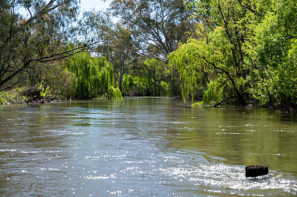 istock The Kiewa River at Killara in North East Victoria 2241356361