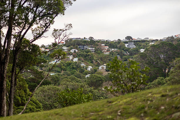 istock Hillside Homes Surrounded by Greenery in Wellington 2241357019