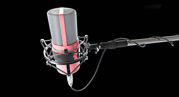 istock Professional studio microphone on boom arm recording audio 2241366104