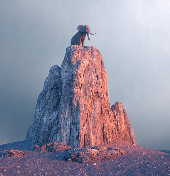 istock Majestic elephant standing on a rocky peak during twilight in serene landscape 2241367975