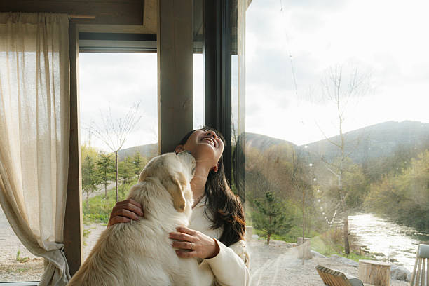 istock Relaxing with my best friend after a long week 2241371751