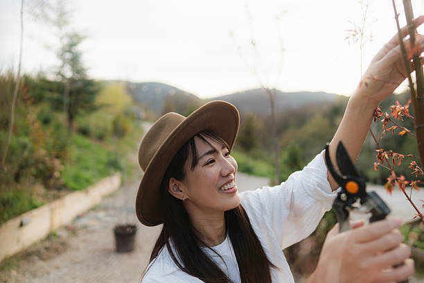 istock Young woman pruning a tree in her backyard 2241371890