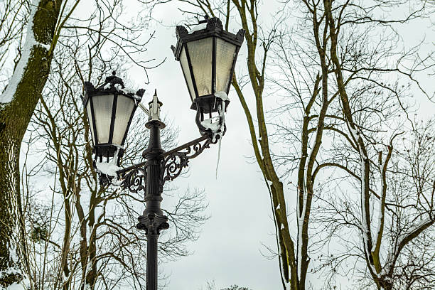 istock Old street lamp and trees in winter 2241373343