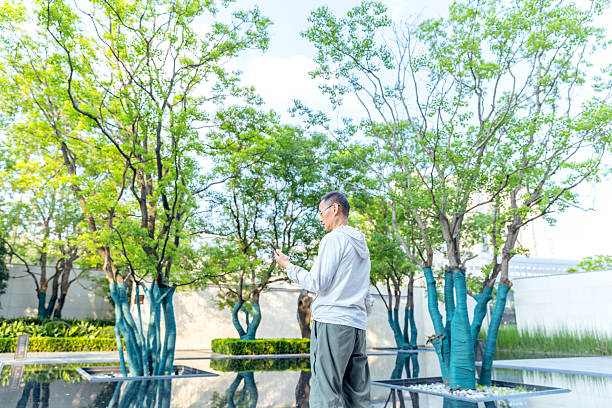 An old Asian man using a mobile phone in the park