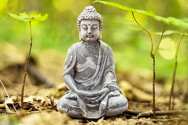 istock Buddha Statue in Sitting Meditation Pose on forest floor, surrounded by new grown trees 2241379764