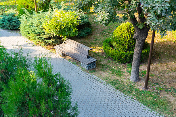Sunny day in a modern city park with green trees, walking paths, and an abstract sculpture. Urban landscape with people enjoying outdoor leisure