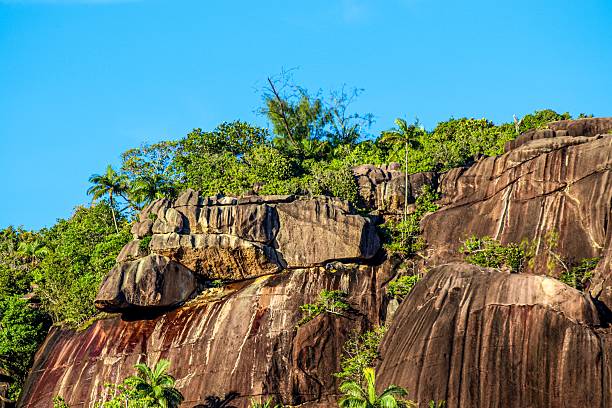 Cliffside tropical vegetation above deep blue ocean with rocks and lush shoreline view