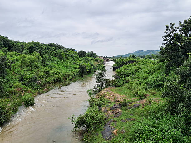 istock River Flowing Through Dense Green Jungle Landscape in India. 2241382577