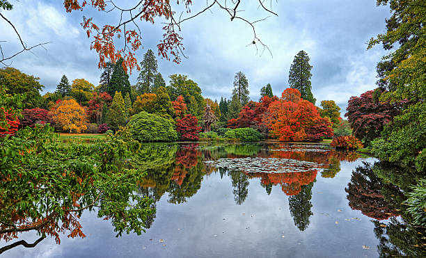 istock Autumn at the Park England UK 2241383001