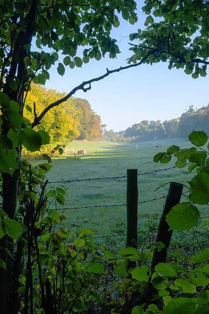 istock Forests And Fields Of Buckinghamshire 2241388254