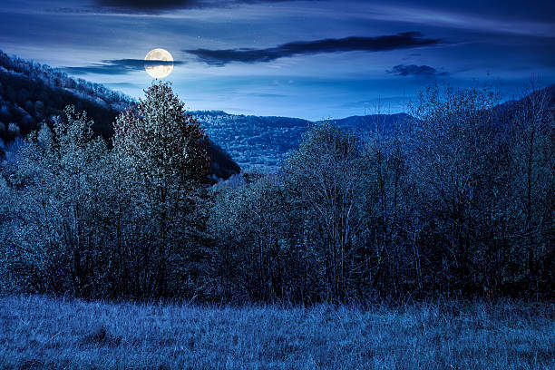 landscape with autumn forest at night. nature park with birch and beech trees in colorful foliage. clouds on sky above mountains. horizontal mystery background in full moon light