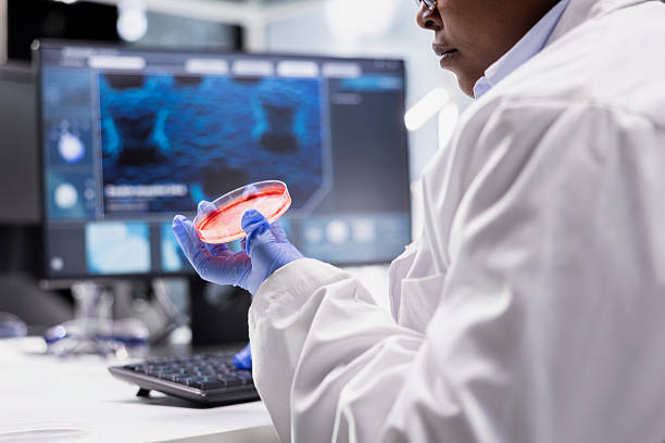 istock Close up of african american chemist observes bacterial matter 2241393442