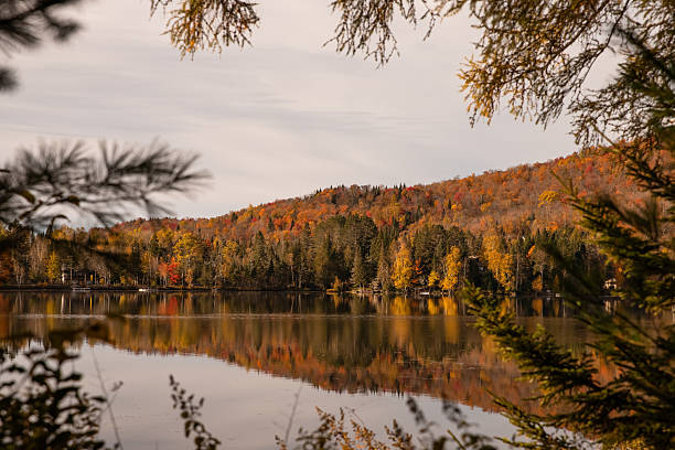 istock The autumn landscape features a tranquil lake surrounded by a forest. 2241394806