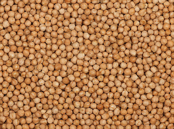 istock Dry chickpeas forming a textured food background 2241402045