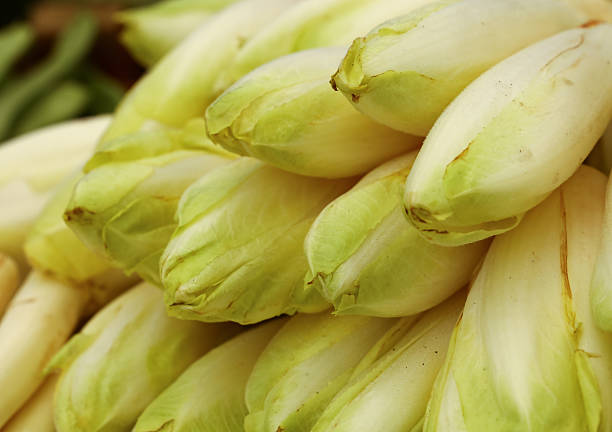 Lettuce rossa or Belgian endivi or chicory leaf vegetables spread on a surface to be used as a background. The concept of healthy eating and delicious recipes.