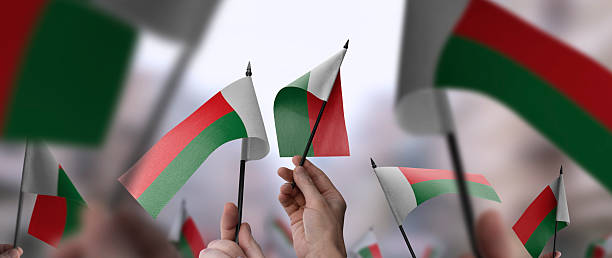 istock Madagascar flags in their hands on a blurred urban background 2241404105