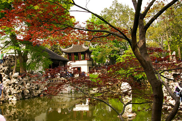 Vibrant Autumnal Scene at a Classical Chinese Garden