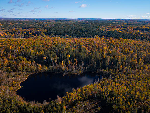 istock autumn colors by the lake 2241408191