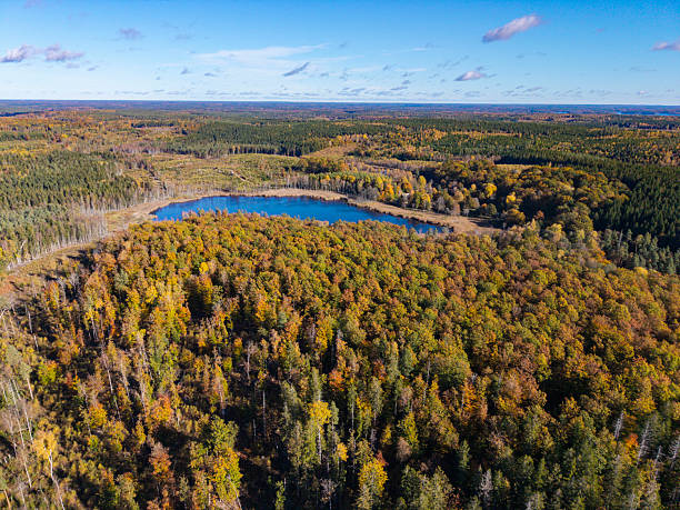 istock autumn colors by the lake 2241408198