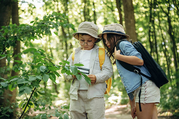 istock Boy and girl are exploring plants in the forest 2241408631