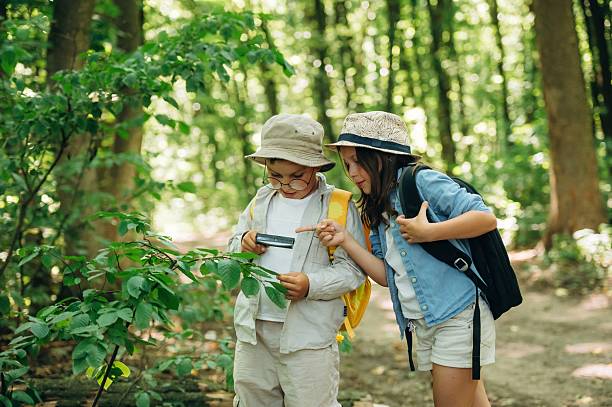 istock Using magnifying glass. Boy and girl are exploring plants in the forest 2241410922