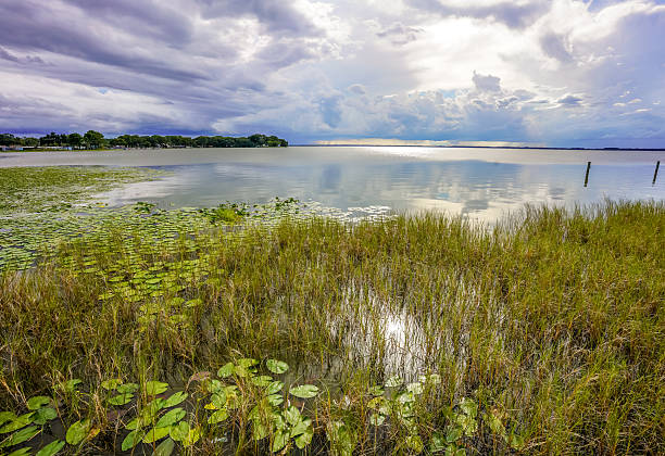 istock Glowing Serenity on Lake Eustis at Sunset in Florida 2241412748