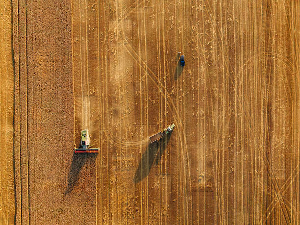 istock Top aerial view. Agricultural machine harvesting wheat 2241412974