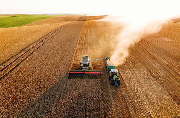 istock By the help of tractor. Agricultural machine harvesting wheat 2241413059