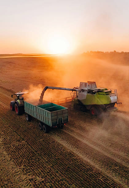istock Evening dawn. Against sunlight. Agricultural machine harvesting wheat 2241413176